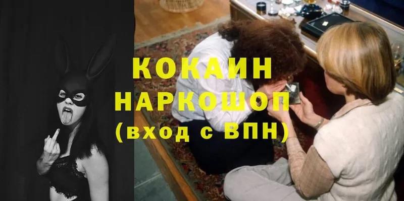 Cocaine FishScale  купить наркоту  Бабушкин 