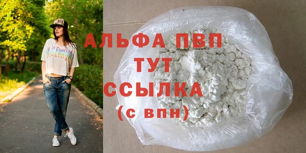 индика Нефтегорск