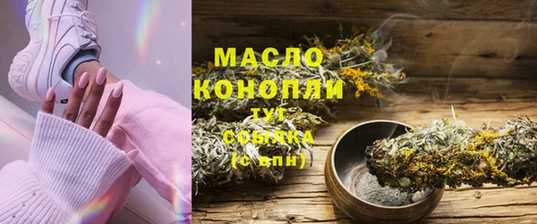 индика Нефтегорск