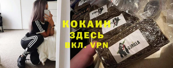 индика Нефтегорск