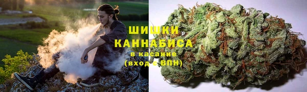 Альфа ПВП Нея