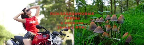 индика Нефтегорск