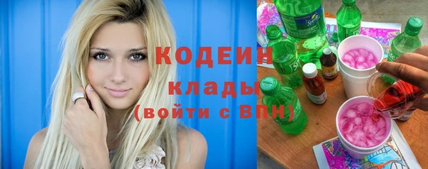 индика Нефтегорск