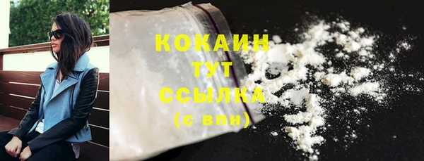 индика Нефтегорск